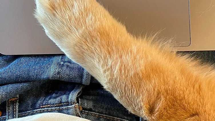 How Long Does a Hand-Drawn Pet Portrait Take?