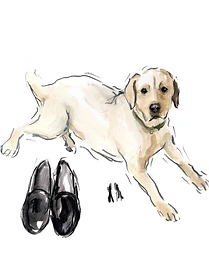 Custom hand drawn pet portrait of Mercy by Ruben Baghdasaryan