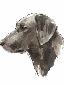 Custom hand drawn pet portrait of Graham by Ruben Baghdasaryan