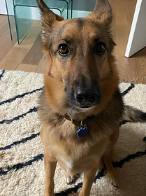Reference photo of Gia