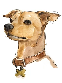 Custom hand drawn pet portrait of Lucius by Ruben Baghdasaryan
