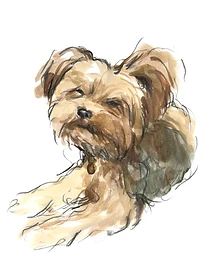 Custom hand drawn pet portrait of Chuto by Ruben Baghdasaryan