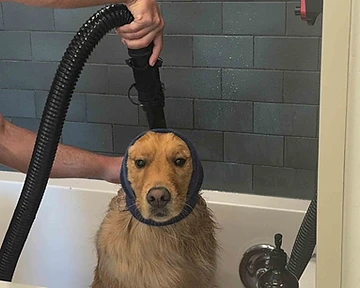 How to Keep Your Dog Calm During Grooming