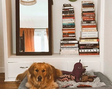 Pet Portraits as Home Décor