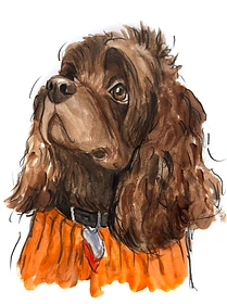 Custom hand drawn pet portrait of Millie by Ruben Baghdasaryan