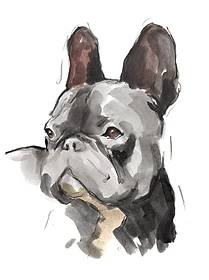 Custom hand drawn pet portrait of Gustavo by Ruben Baghdasaryan