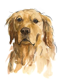 Custom hand drawn pet portrait of Lukas by Ruben Baghdasaryan