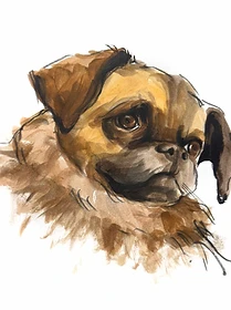Custom hand drawn pet portrait of Ennui by Ruben Baghdasaryan