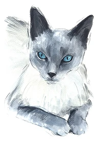 Custom hand drawn pet portrait of Noor by Ruben Baghdasaryan