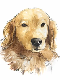 Custom hand drawn pet portrait of Meryl by Ruben Baghdasaryan