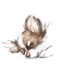 Custom hand drawn pet portrait of Ogden by Ruben Baghdasaryan