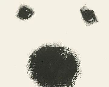 Graphite vs. Acrylic: Which Medium Is Right for Your Pet?