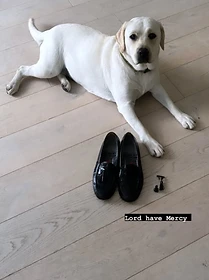 Reference photo of Mercy