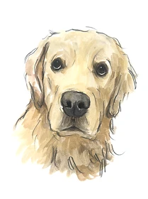 Custom hand drawn pet portrait of Tapper by Ruben Baghdasaryan