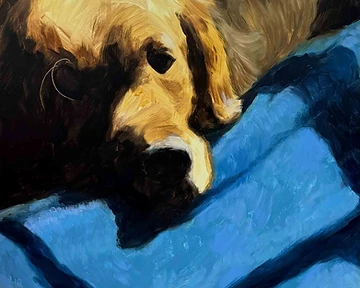 What Makes a Great Pet Portrait? Five Things to Look For