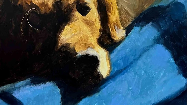 What Makes a Great Pet Portrait? Five Things to Look For