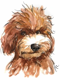 Custom hand drawn pet portrait of Kevin by Ruben Baghdasaryan