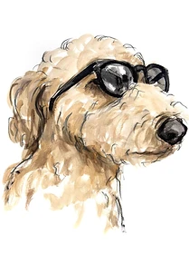 Custom hand drawn pet portrait of King by Ruben Baghdasaryan