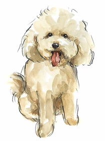 Custom hand drawn pet portrait of Franklyn by Ruben Baghdasaryan