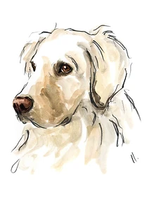 Custom hand drawn pet portrait of Rudolph by Ruben Baghdasaryan