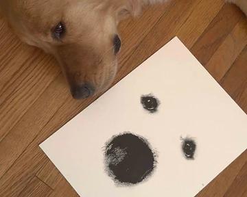 Honoring a Beloved Companion: Memorial Portraits