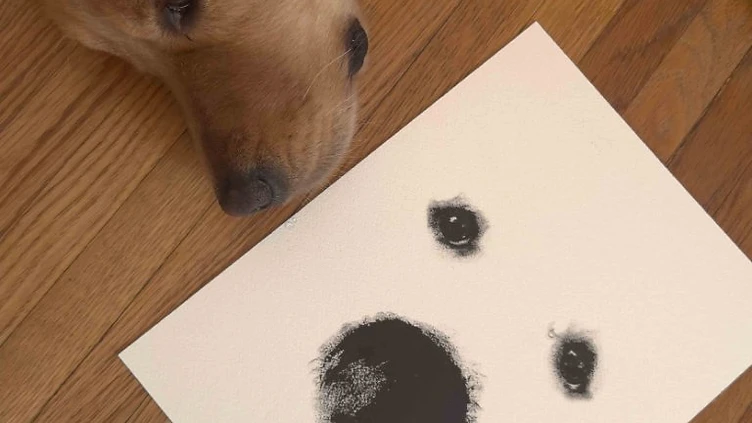 Honoring a Beloved Companion: Memorial Portraits