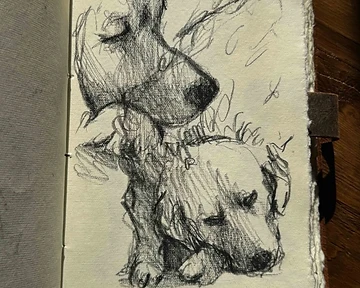 Studio Notes: Why Graphite, Not Pencil