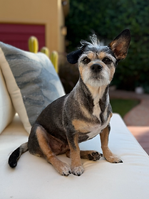 Reference photo of Avery