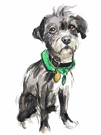 Custom hand drawn pet portrait of Franky by Ruben Baghdasaryan
