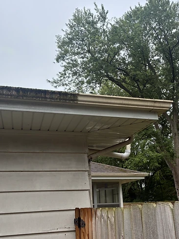 Gutter Cleaning