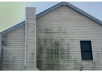 House siding with algae streaks before washing