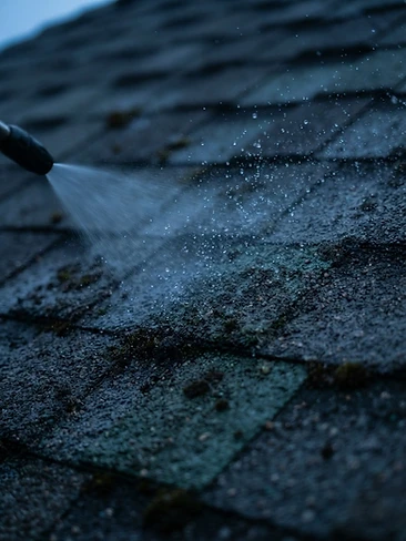 Roof Cleaning