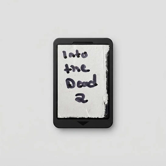 Into the Dead 2 Nintendo Switch cartridge with a handwritten label on a white background