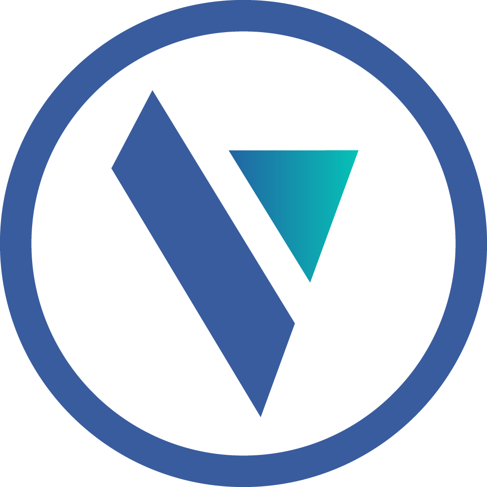 Velocity Advisory Group
