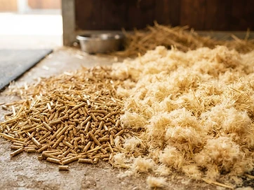 Strohpellets als Einstreu in moderner Pferdehaltung