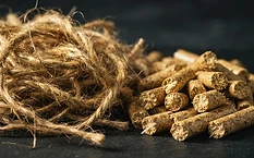 HEMP