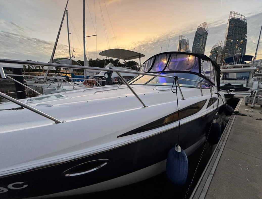 2012 Bayliner 335