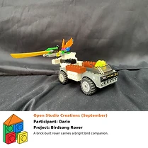 Birdsong Rover
