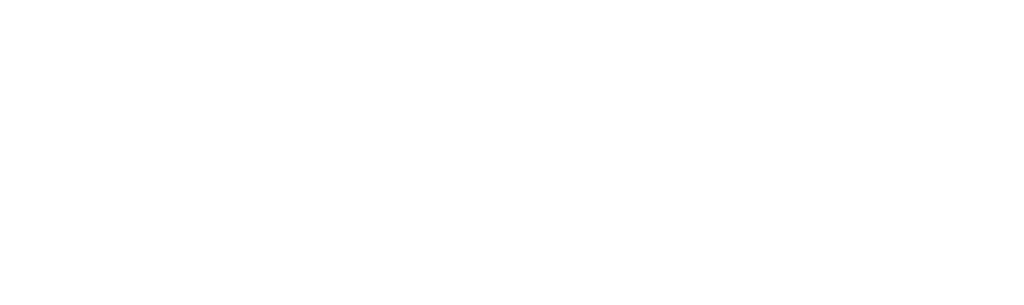 Mega Dental