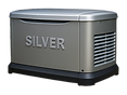 Silver maintenance plan