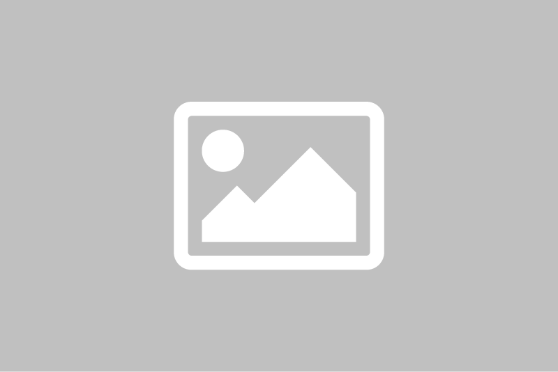 Fensterreinigung – Vorher Normales Fenster
