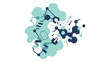 Simple diagram showing cagrilintide and semaglutide acting on separate pathways