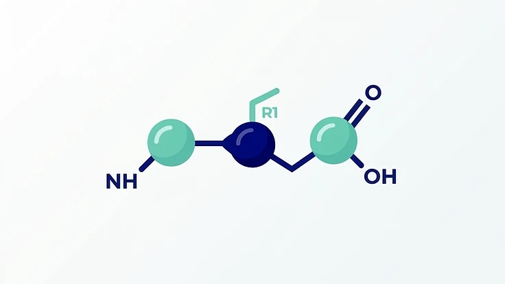 Simple diagram showing KPV as a small three amino acid piece of a larger hormone