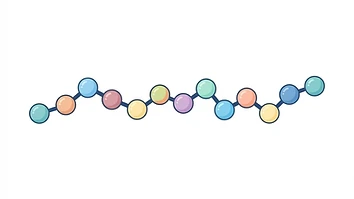 Simple diagram showing a peptide as a short chain of amino acids
