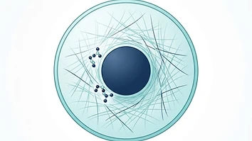 Simple diagram showing TB-500 as a small piece cut from a larger natural protein