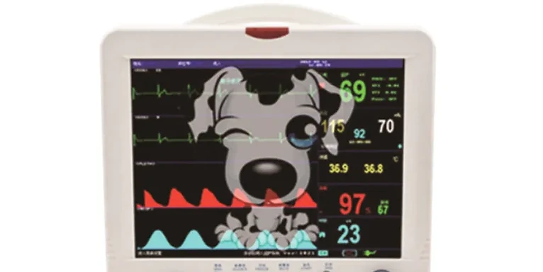 Veterinary Monitor PM-RB9000V — Wincom