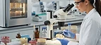 Anaerobic Culture System — Culture incubator and petri dishes in a microbiology laboratory