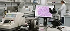 Slide Stainer — Tissue processor, microtome and slide review workstation in a histopathology laboratory