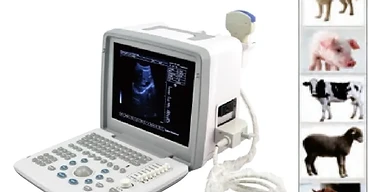 Full Digital LED Ultrasound Scanner USS-300VET — Wincom