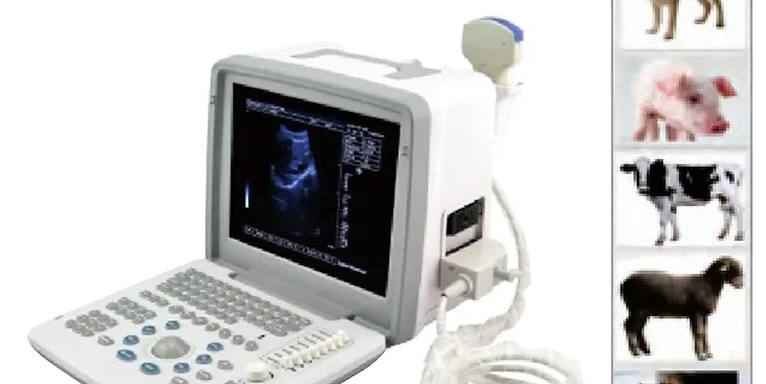 Full Digital LED Ultrasound Scanner USS-300VET — Wincom